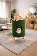Toca Casinha de Gatos Carpete Verde Premium Construpet