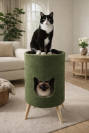 Toca Casinha de Gatos Carpete Verde Premium Construpet
