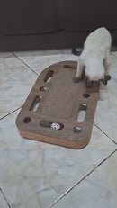 Brinquedo Interativo para Gatos com Arranhador - ConstruPet